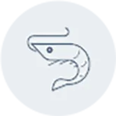 キトサン
