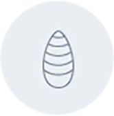 シルクPPT